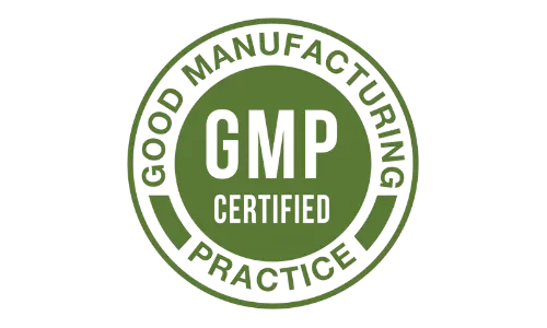 GMP standard